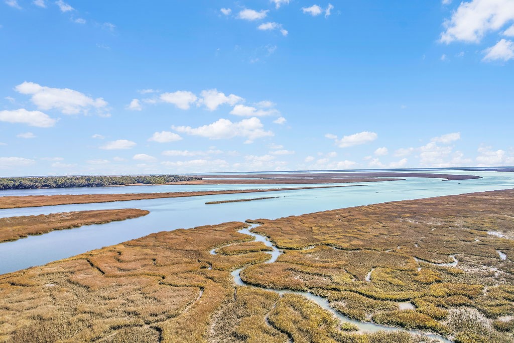 2017 Sutherland Bluff Drive Northeast Townsend, GA 31331 - Photo 47 of 60