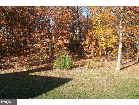 132 Station Road Bayville, NJ 08721 - Photo 14 of 15 Gallery Image 14