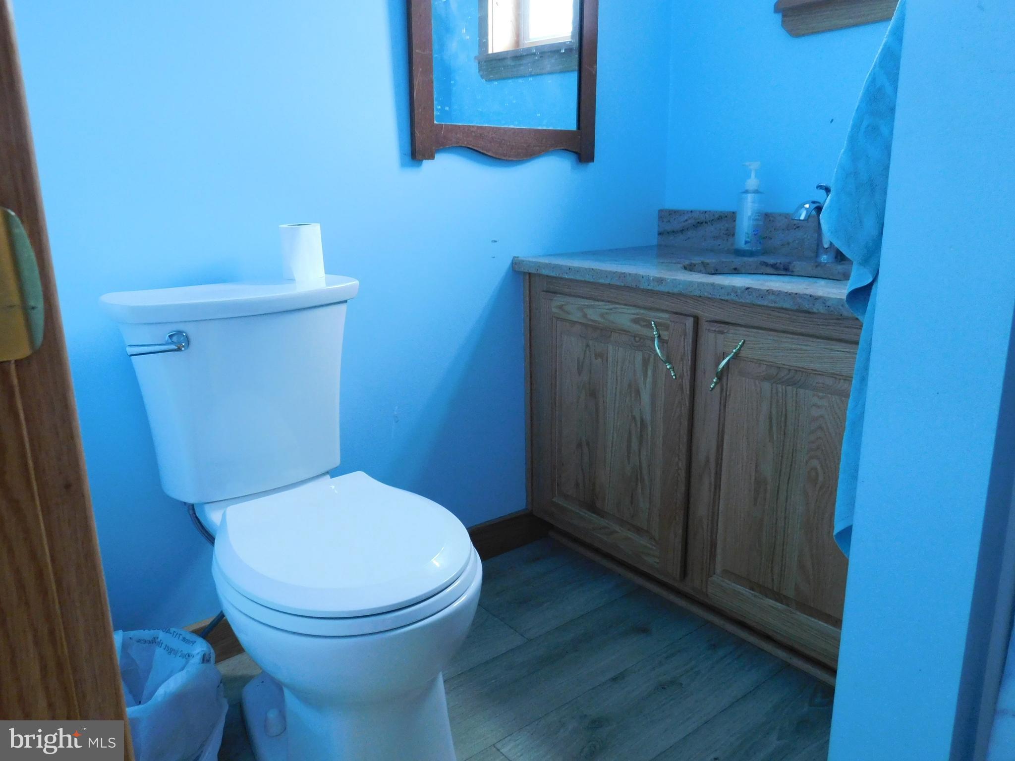 171 Gaul Road Port Royal, PA 17082 - Photo 17 of 46 a bathroom with a toilet a sink and wooden floor