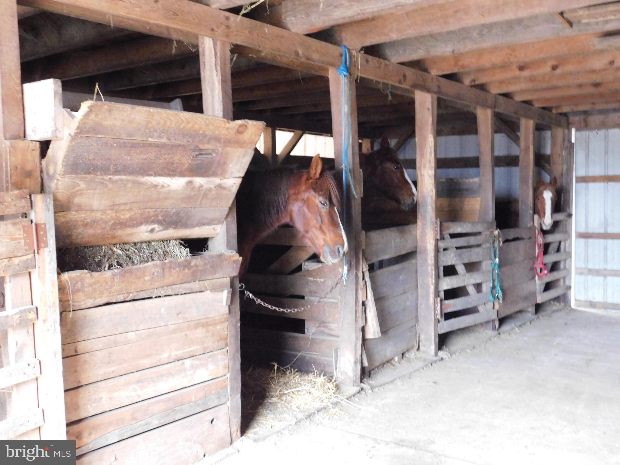 171 Gaul Road Port Royal, PA 17082 - Photo 34 of 46 a view of walk in closet