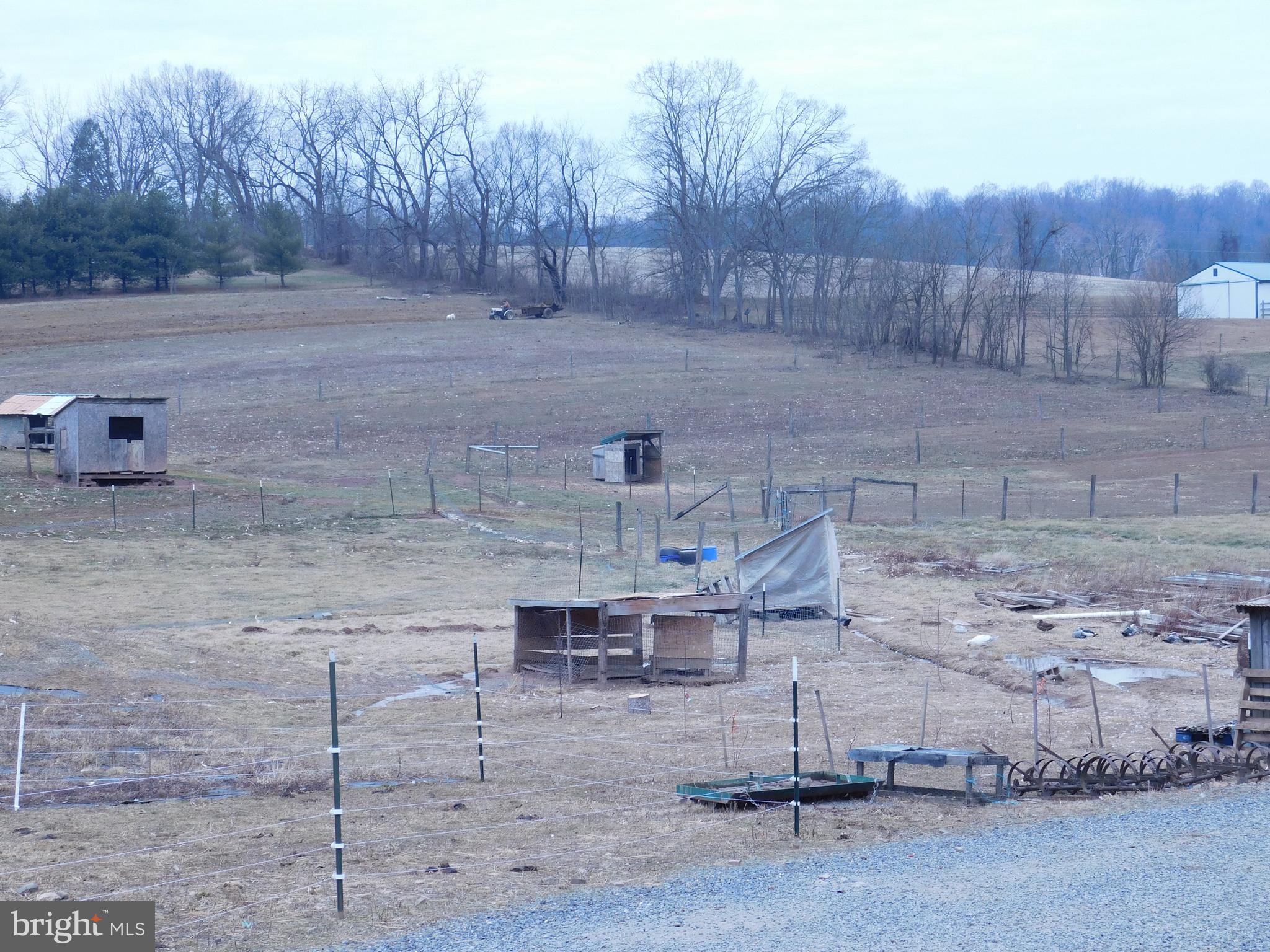 171 Gaul Road Port Royal, PA 17082 - Photo 45 of 46 a view of a yard