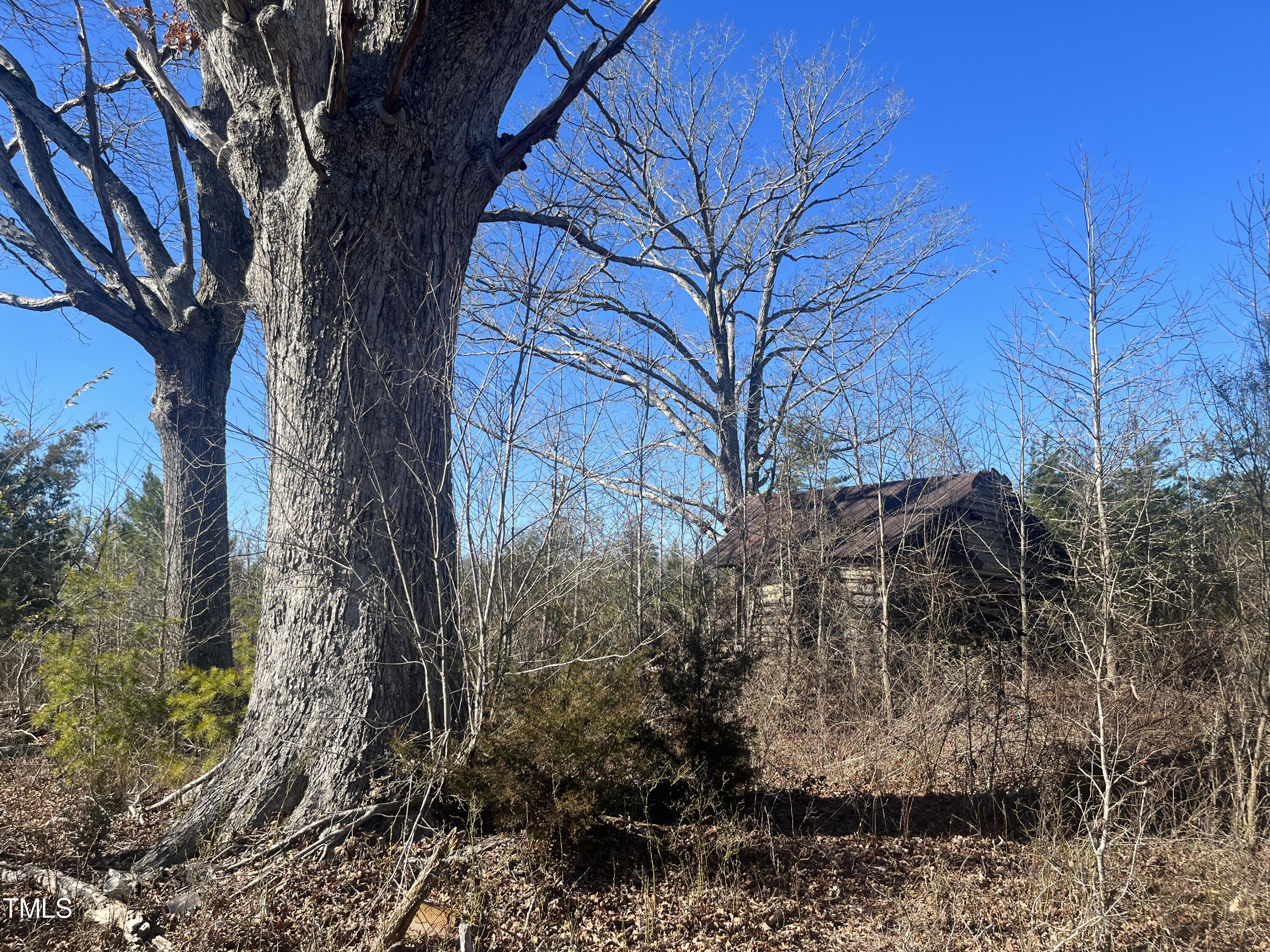 0 Allen Creek Road Rougemont, NC 27572 - Photo 7 of 9 06