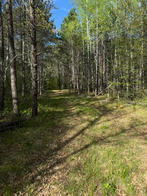 3 County Road 3 Merrifield, MN 56465 - Photo 11 of 36