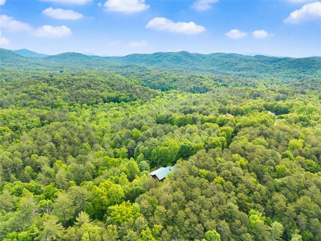 707 South Fern Cove Road Sautee Nacoochee, GA 30571 - Photo 49 of 60 a view of a lush green field with mountains in the background