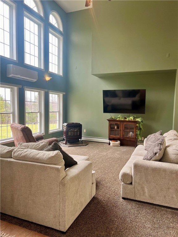 1098 Walker Hill Road Barton, NY 14892 - Photo 17 of 37