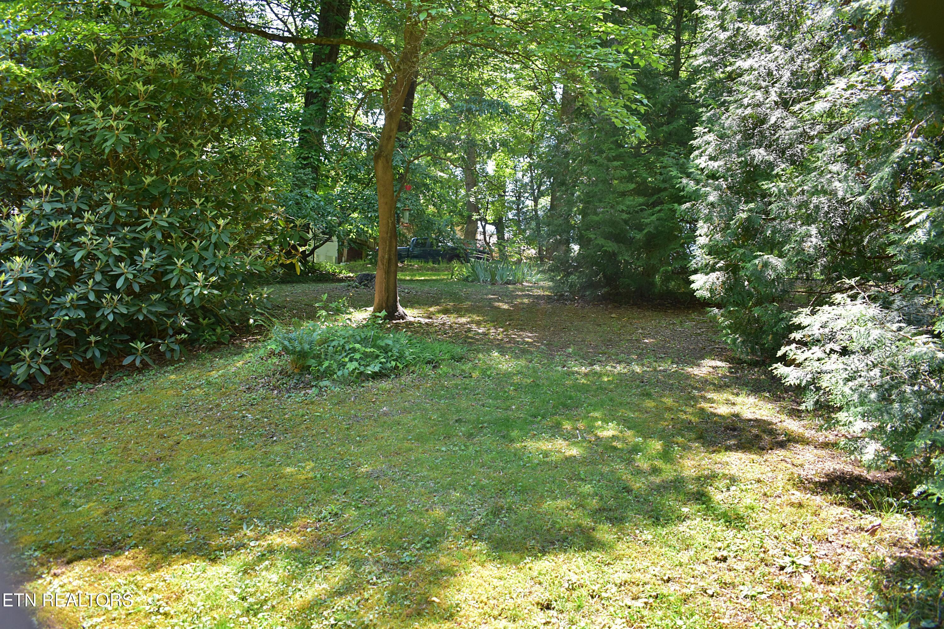 129 Jefferson Street Harrogate, TN 37752 - Photo 13 of 51 DSC_0014