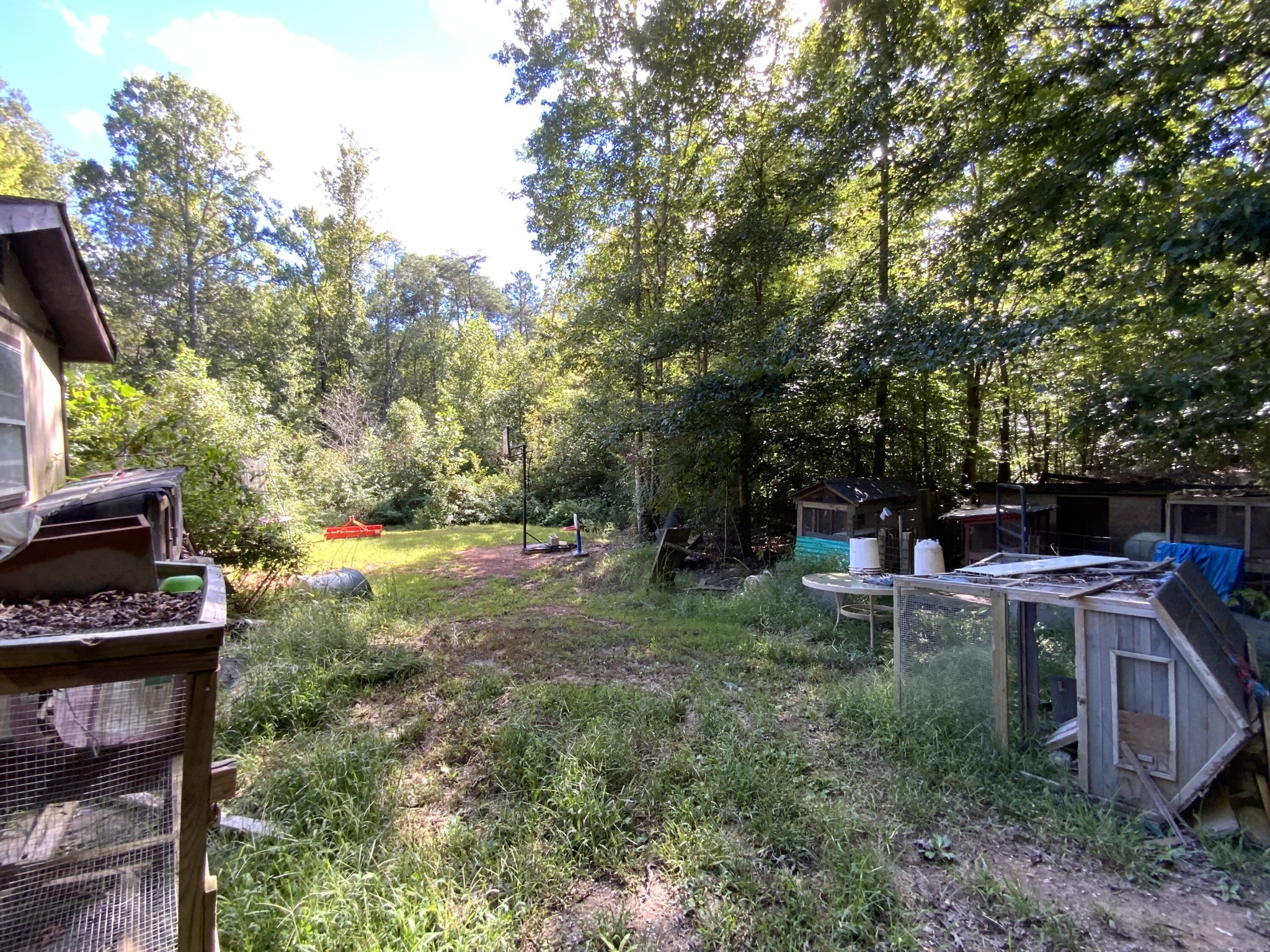 1328 Dogtown Road Ten Mile, TN 37880 - Photo 12 of 16 a view of a backyard with table and chairs