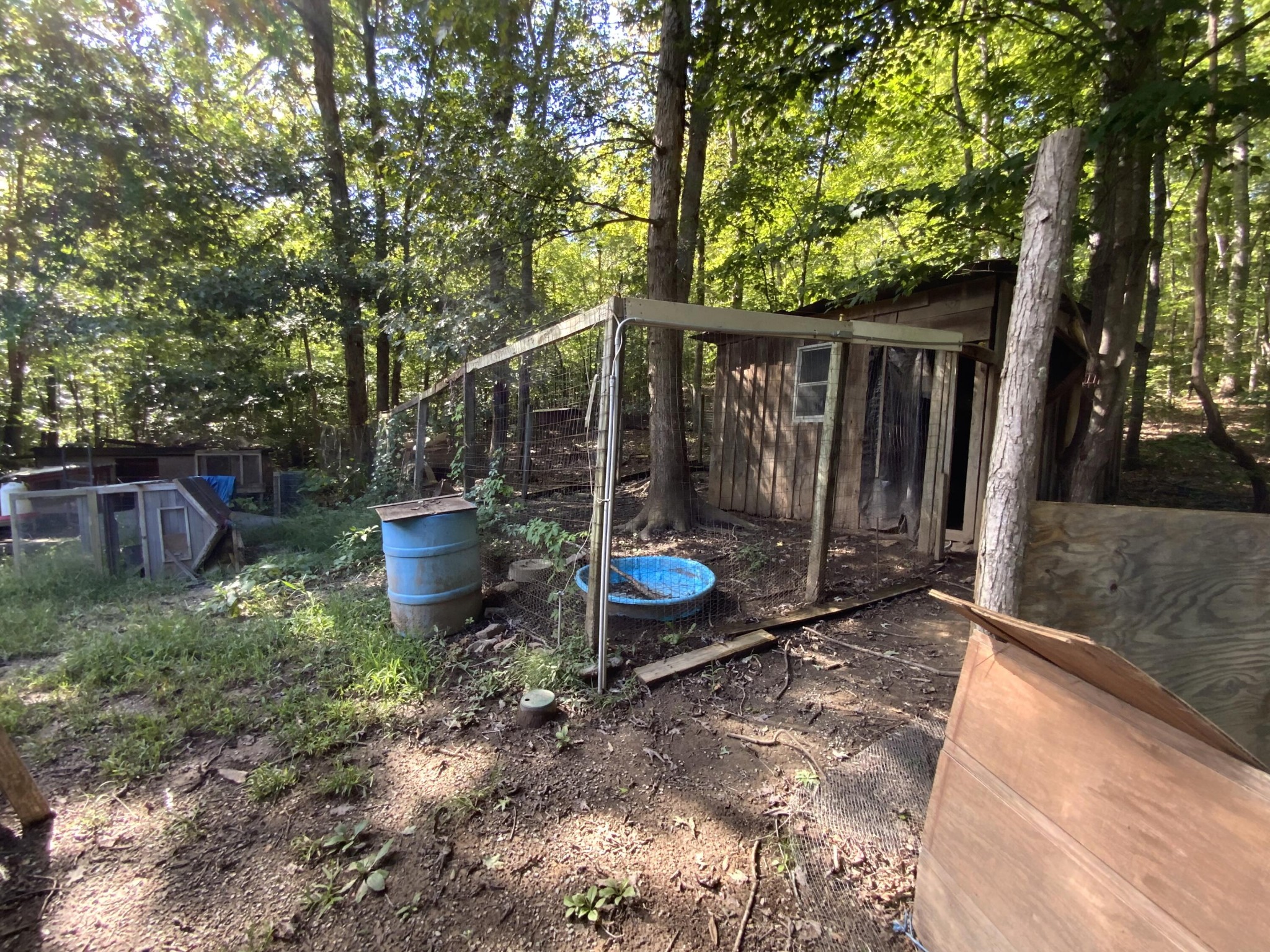 1328 Dogtown Road Ten Mile, TN 37880 - Photo 14 of 16 a view of a backyard with wooden fence and a large tree