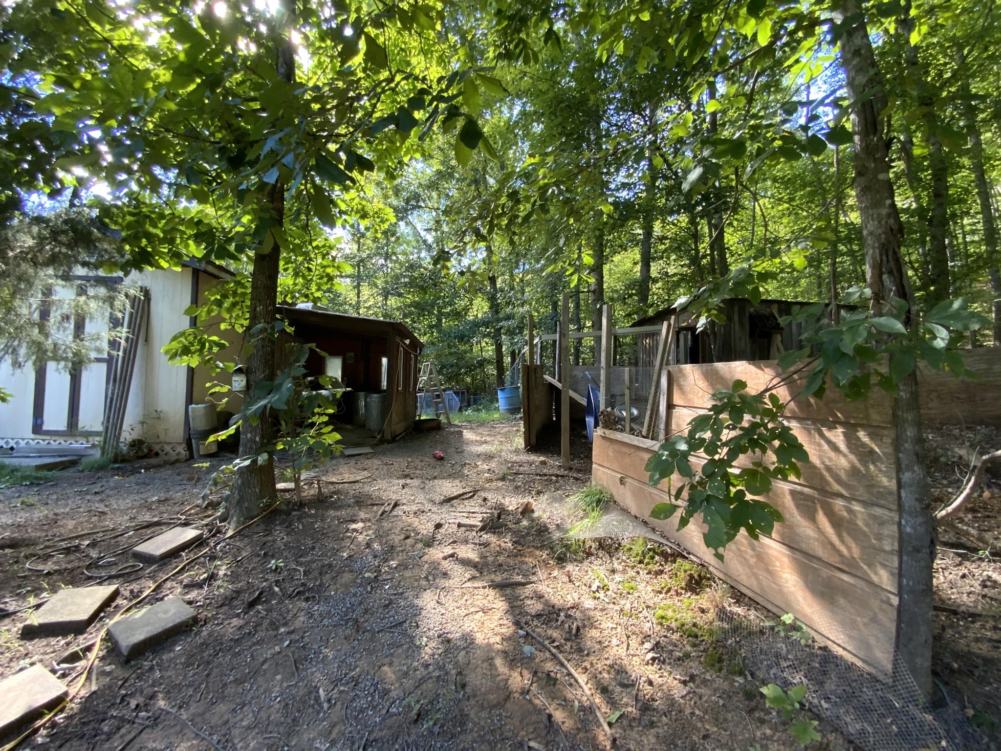 1328 Dogtown Road Ten Mile, TN 37880 - Photo 15 of 16 a backyard of a house with lots of green space
