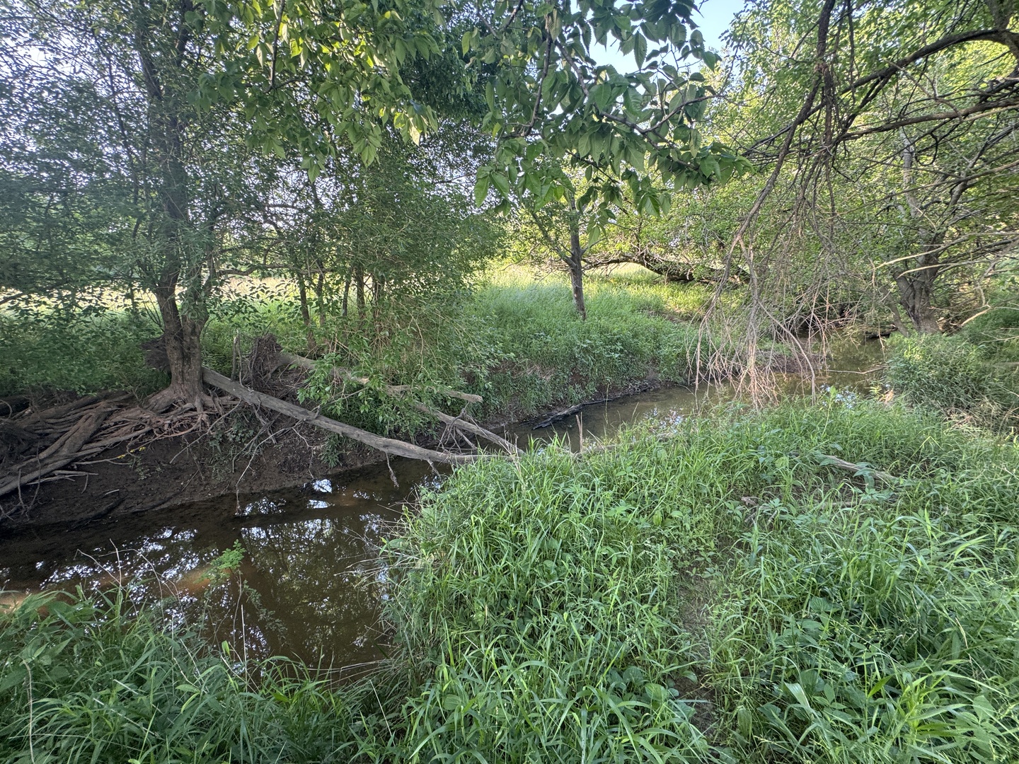 0 County Highway 29 Road Rinard, IL 62878 - Photo 22 of 28