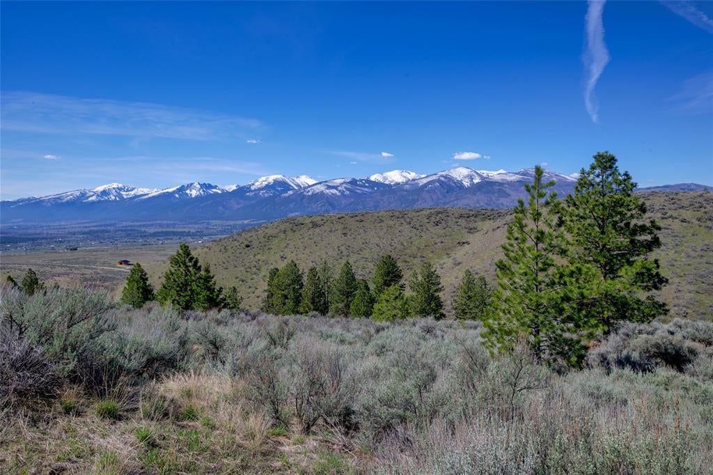 Lot 10 Sapphire Ridge Florence, MT 59833 - Photo 2 of 23 Gallery Image 2