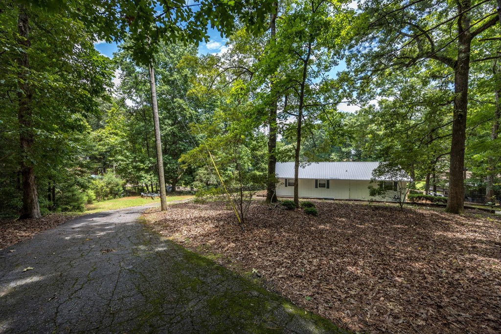 70 Lee Road Salem, AL 36874 - Photo 6 of 52