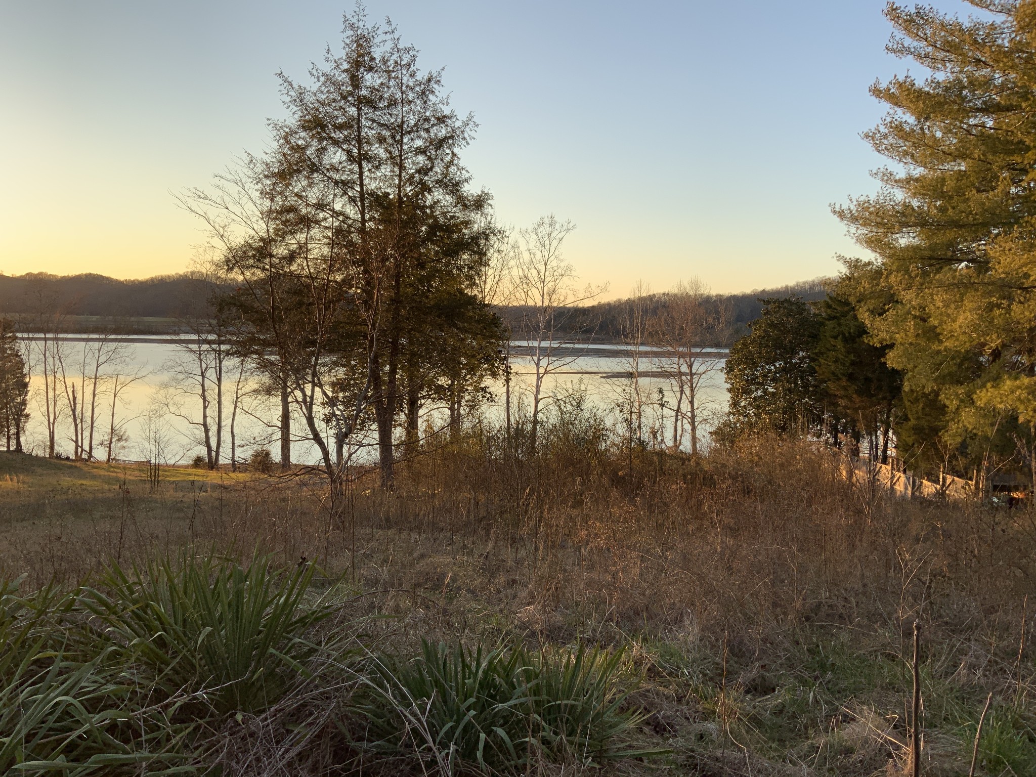 480 Emory River Road Harriman, TN 37748 - Photo 3 of 11 Gallery Image 3