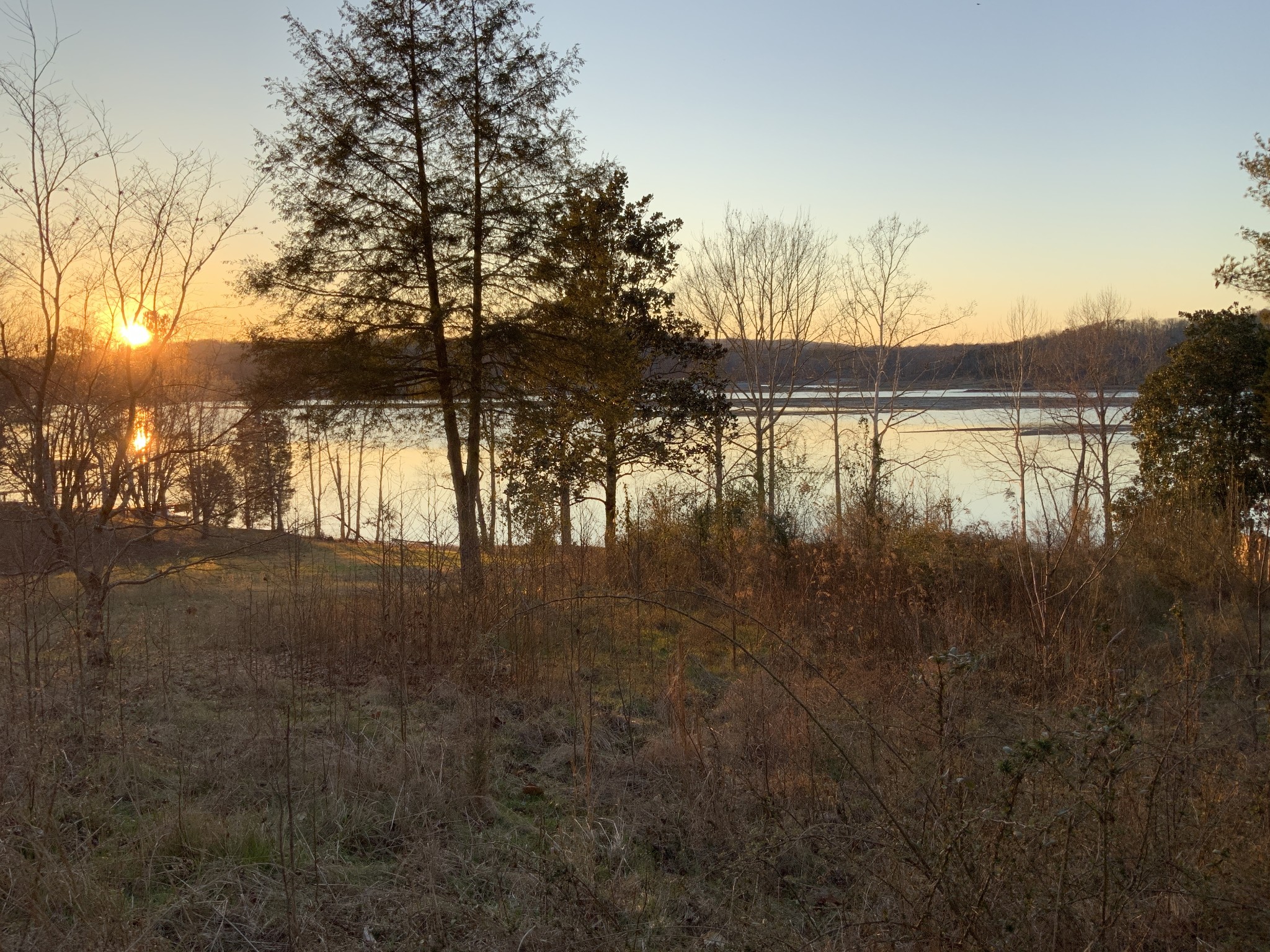 480 Emory River Road Harriman, TN 37748 - Photo 6 of 11 Gallery Image 6