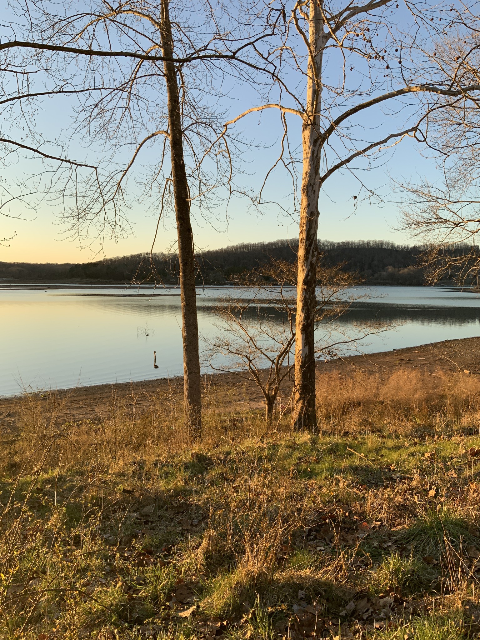 480 Emory River Road Harriman, TN 37748 - Photo 7 of 11 Gallery Image 7