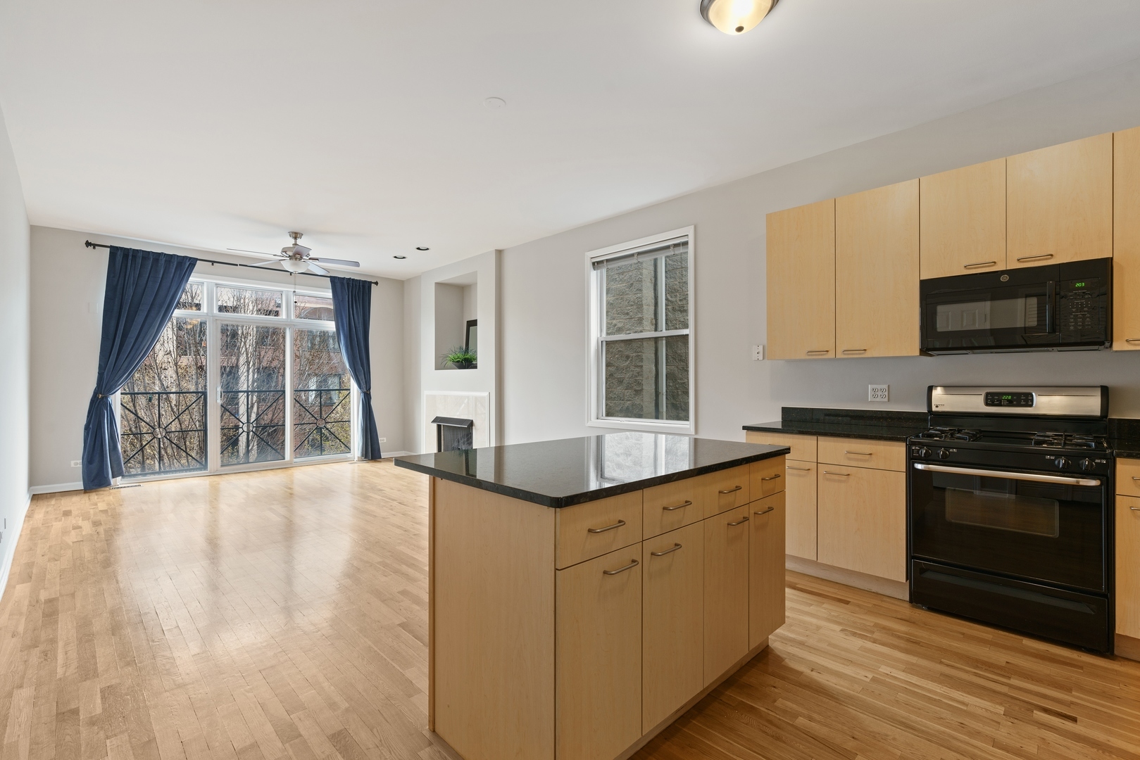 2127 West Rice Street, Unit 3E Chicago, IL 60622 - Photo 4 of 14