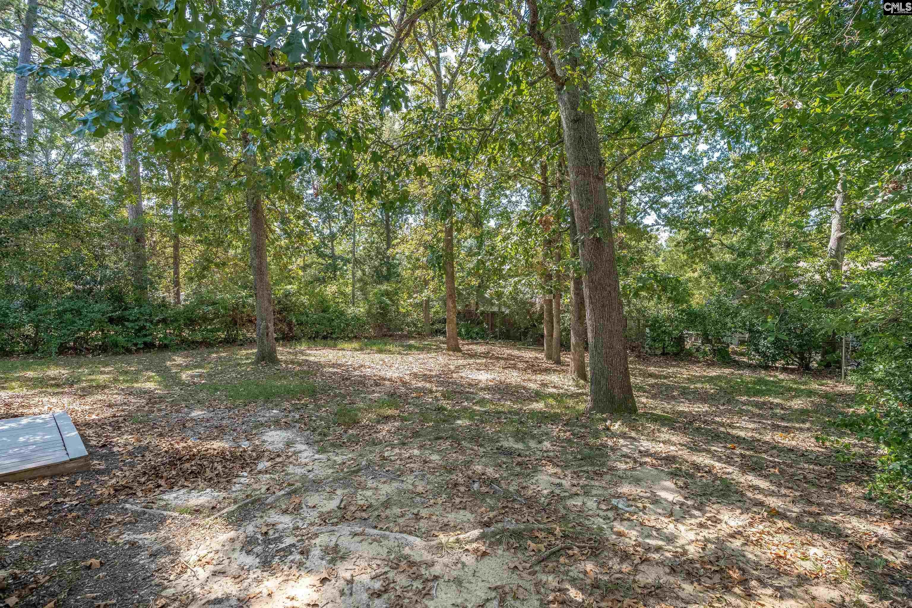 204 River Song Road Irmo, SC 29063 - Photo 36 of 36 Gallery Image 36