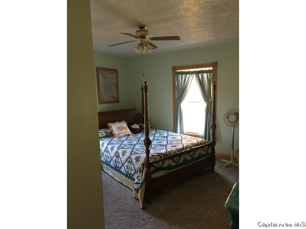 3 Rr Roodhouse, IL 62082 - Photo 11 of 13