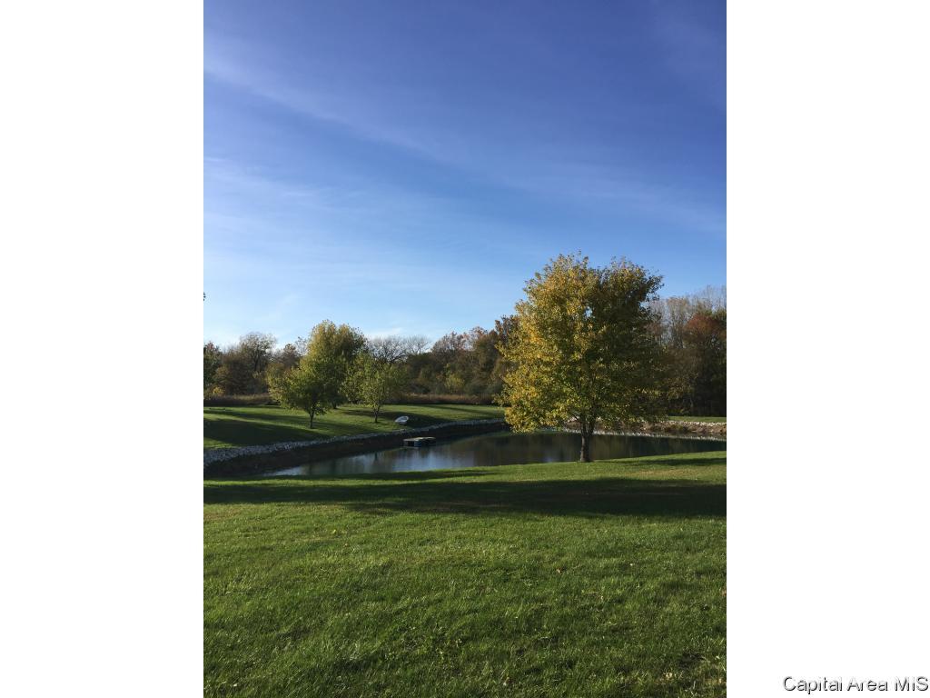 3 Rr Roodhouse, IL 62082 - Photo 3 of 13