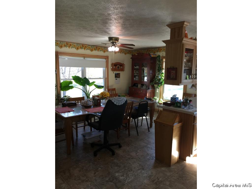 3 Rr Roodhouse, IL 62082 - Photo 6 of 13