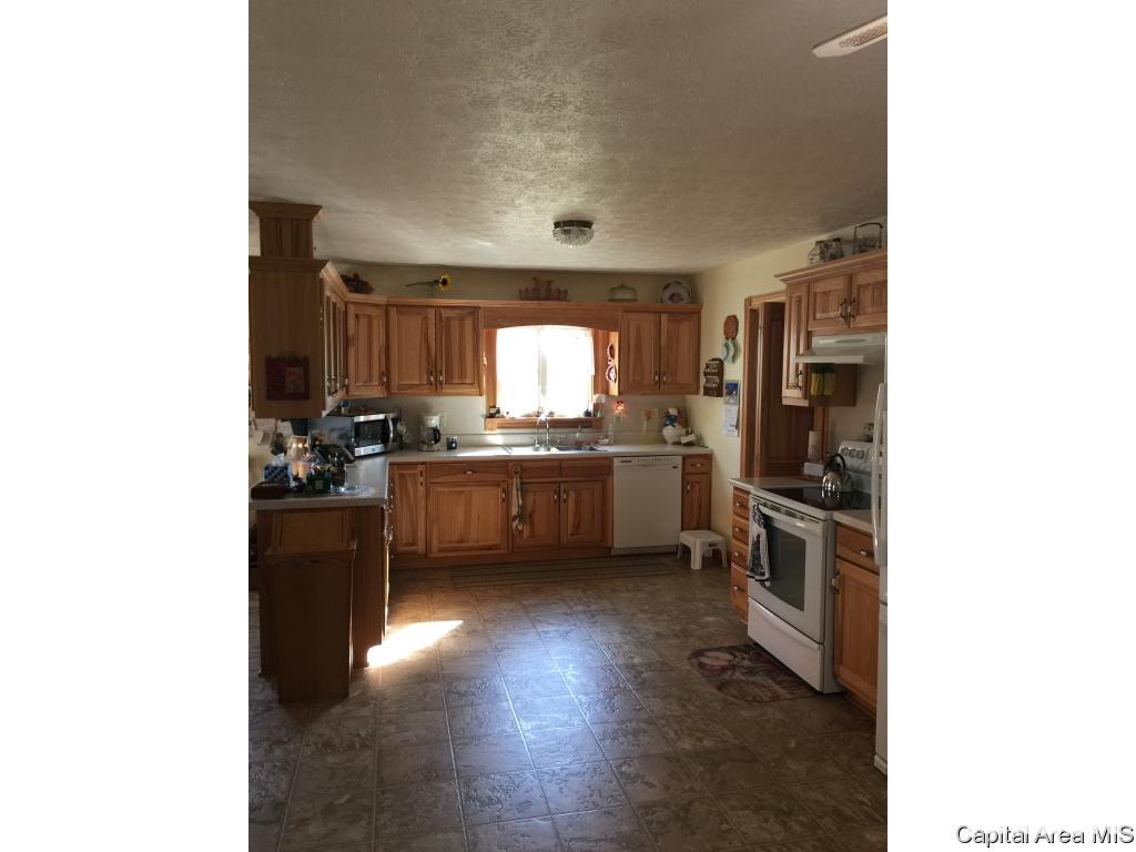 3 Rr Roodhouse, IL 62082 - Photo 7 of 13