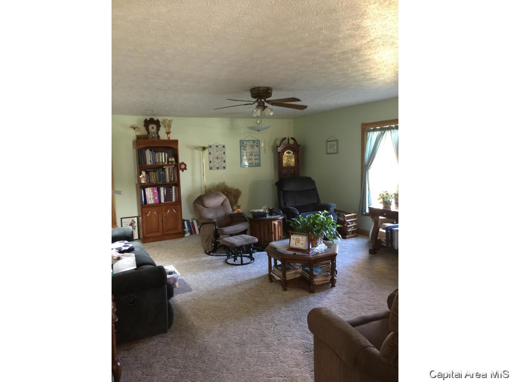 3 Rr Roodhouse, IL 62082 - Photo 8 of 13