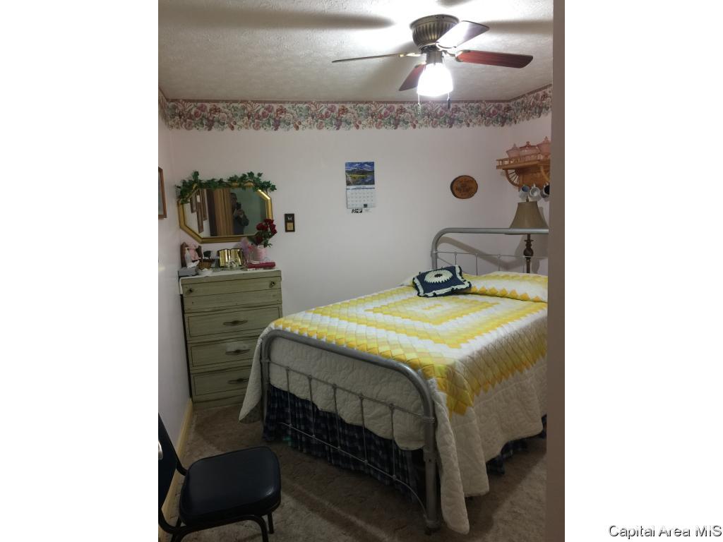 3 Rr Roodhouse, IL 62082 - Photo 10 of 13