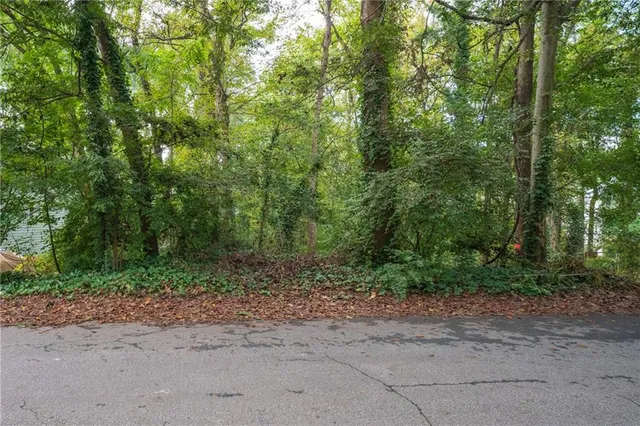 a view of a yard with plants and trees