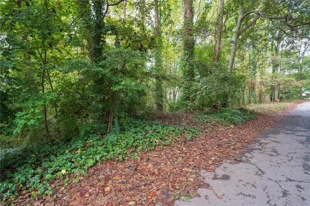 a view of a yard with plants and large trees