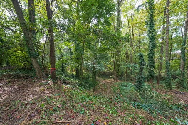 a view of a lush green forest