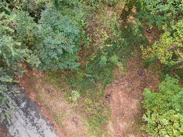 a view of a forest with lush green forest