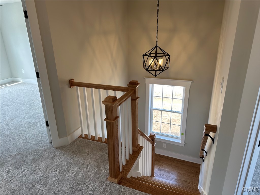 8528 Angus Path Cicero, NY 13039 - Photo 23 of 46