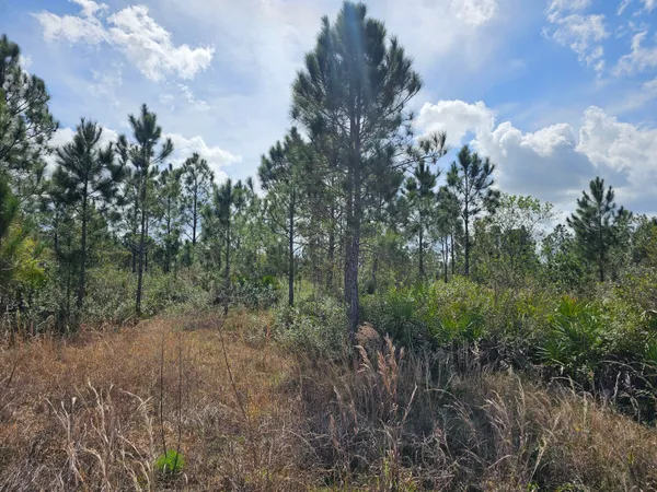 $49,900 | 17720 Northwest 268th Street, Okeechobee, FL 34972