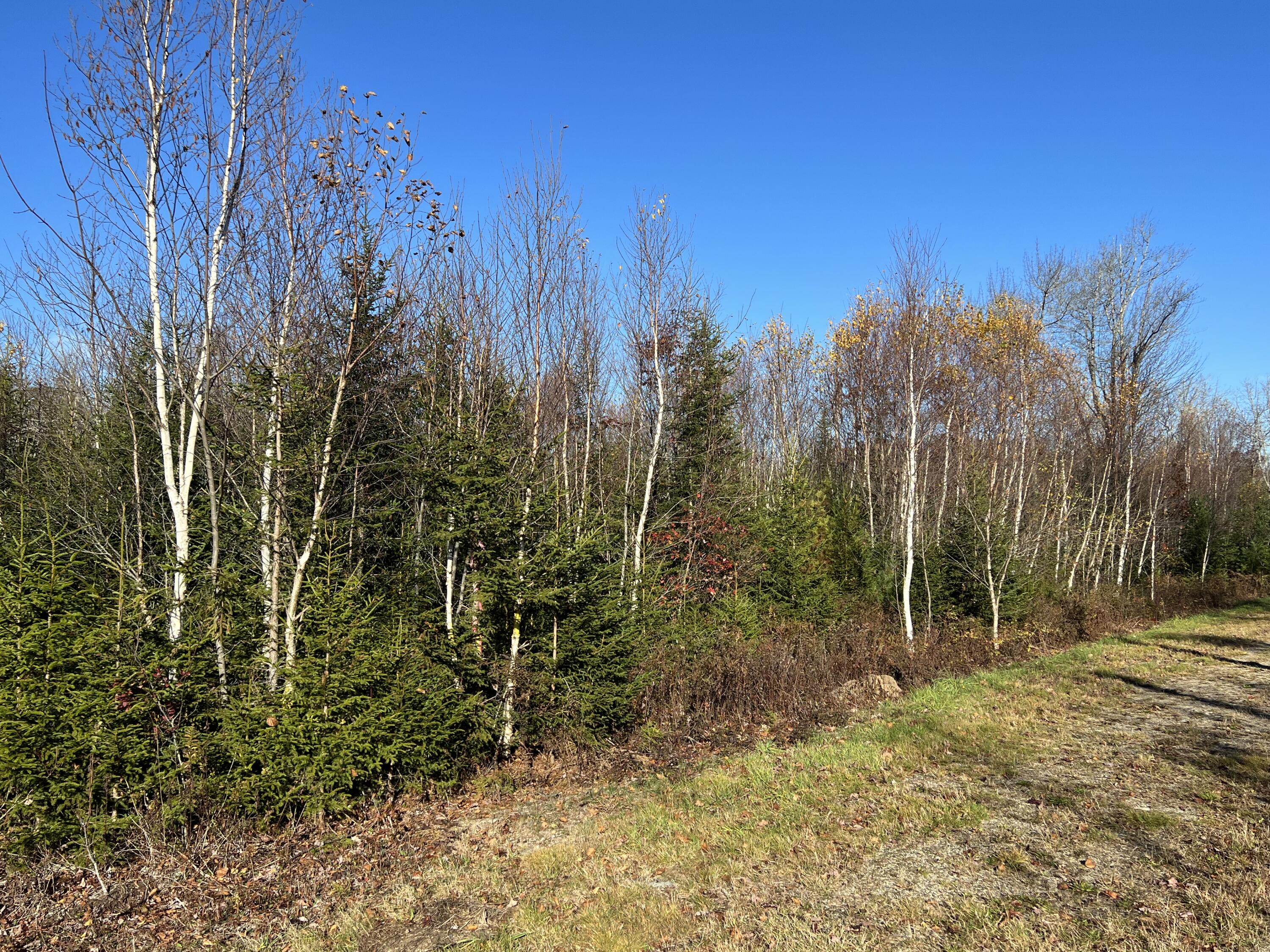 71 Cushing Farm Road Bristol, ME 04554 - Photo 2 of 9 3134F799-8AD6-4D19-872E-E37404419858