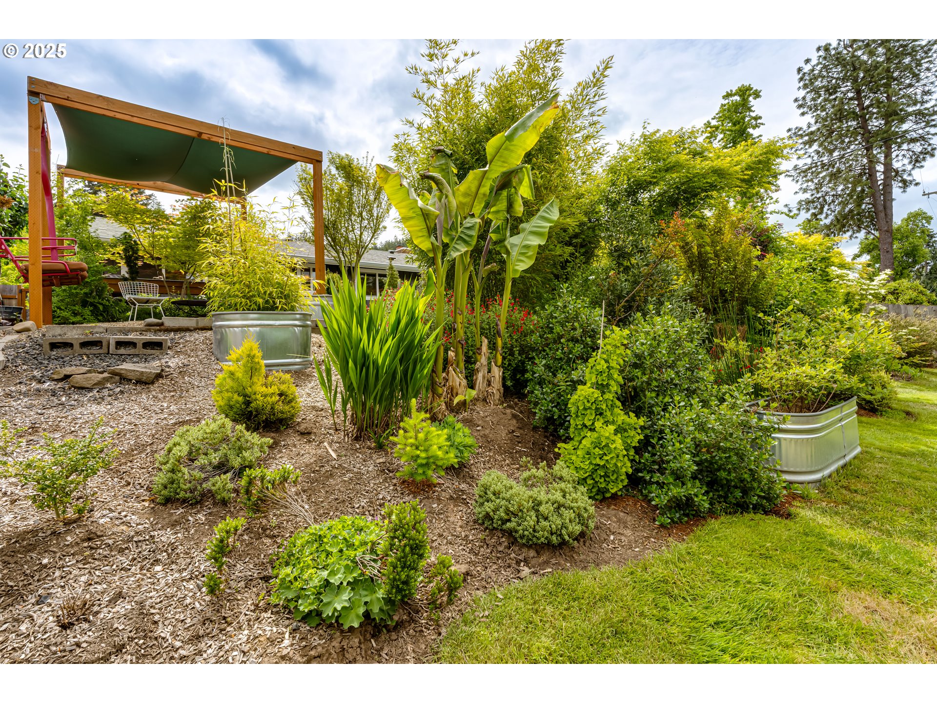 3140 Onyx Street Eugene, OR 97405 - Photo 25 of 32 a view of a yard with plants and large tree