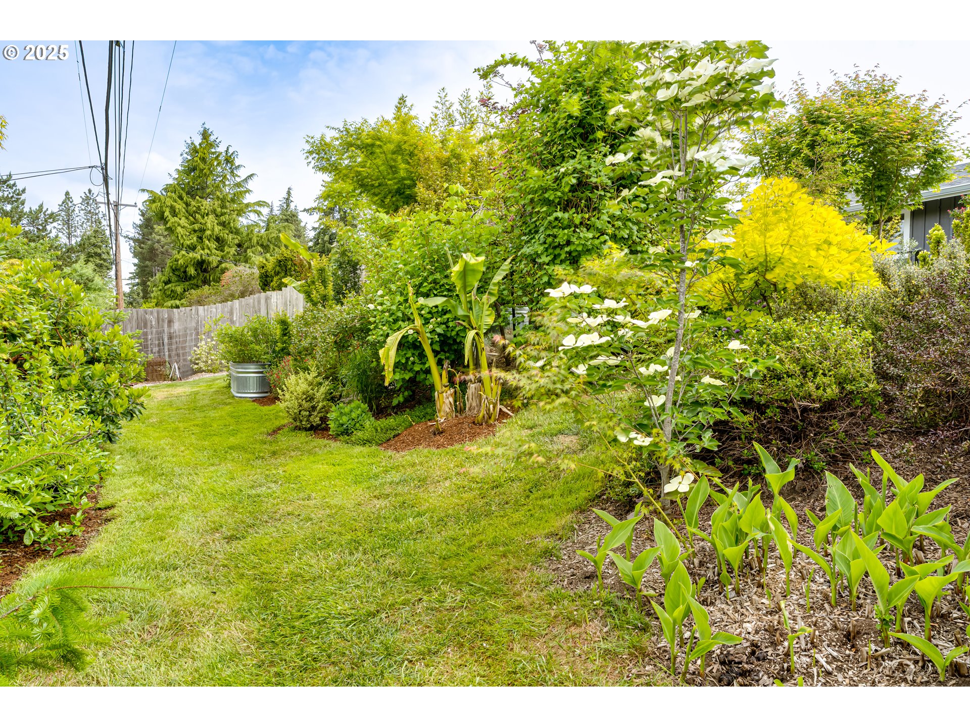 3140 Onyx Street Eugene, OR 97405 - Photo 27 of 32 a view of outdoor space and yard