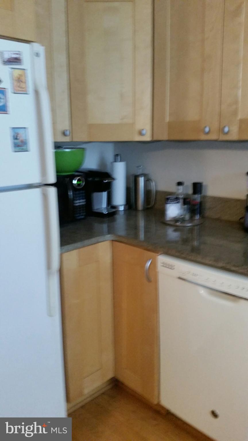 2242 Washington Avenue, Unit W303 Silver Spring, MD 20910 - Photo 12 of 29