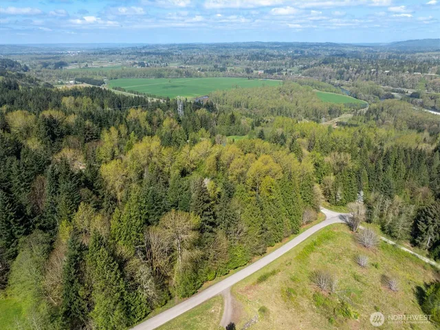 a view of a field with a lush green forest