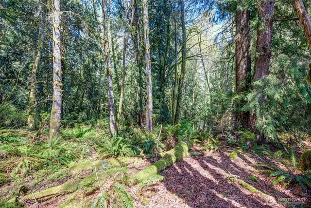 a view of outdoor space and garden
