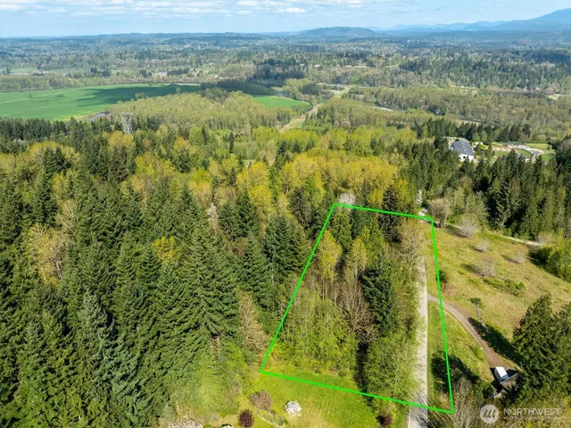 a view of a field with a lush green forest