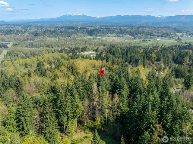 a view of a lush green forest with trees and houses