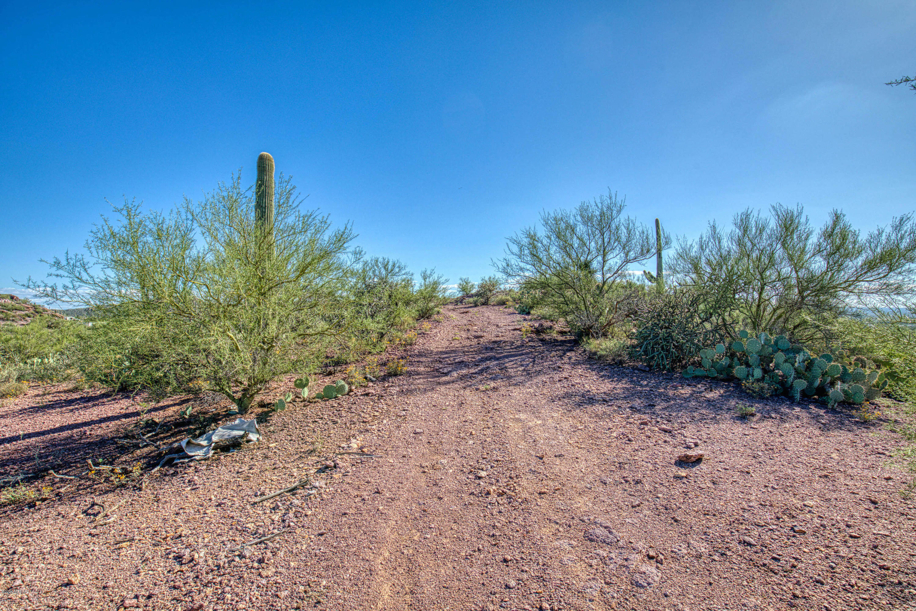 4651 West Bilby Road, Unit 3 Tucson, AZ 85757 - Photo 18 of 24