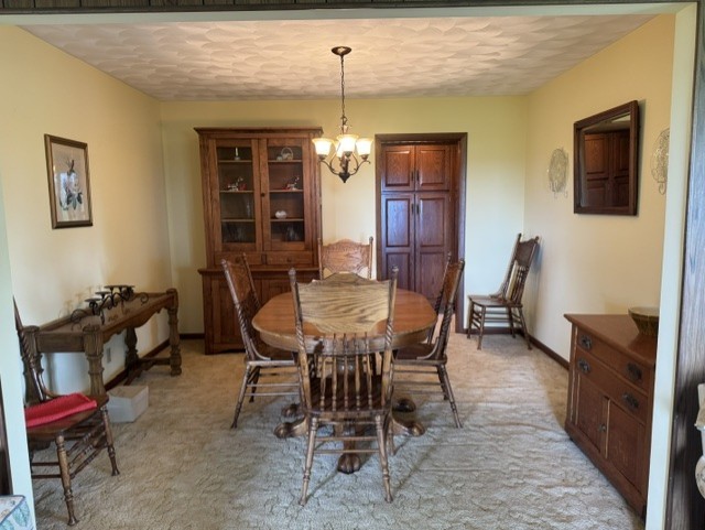 428 Overlook Court Geneseo, IL 61254 - Photo 17 of 55