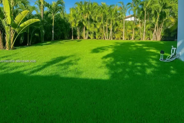 a view of yard with a large trees