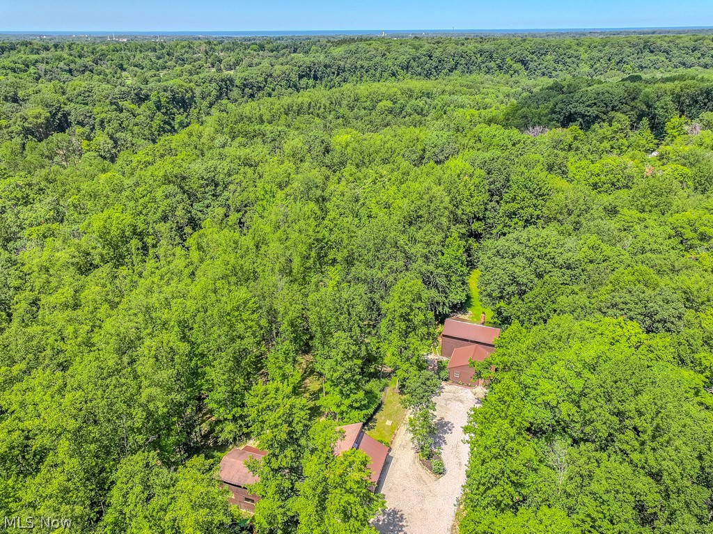 6360 Conley Road Painesville, OH 44077 - Photo 50 of 50 Gallery Image 50