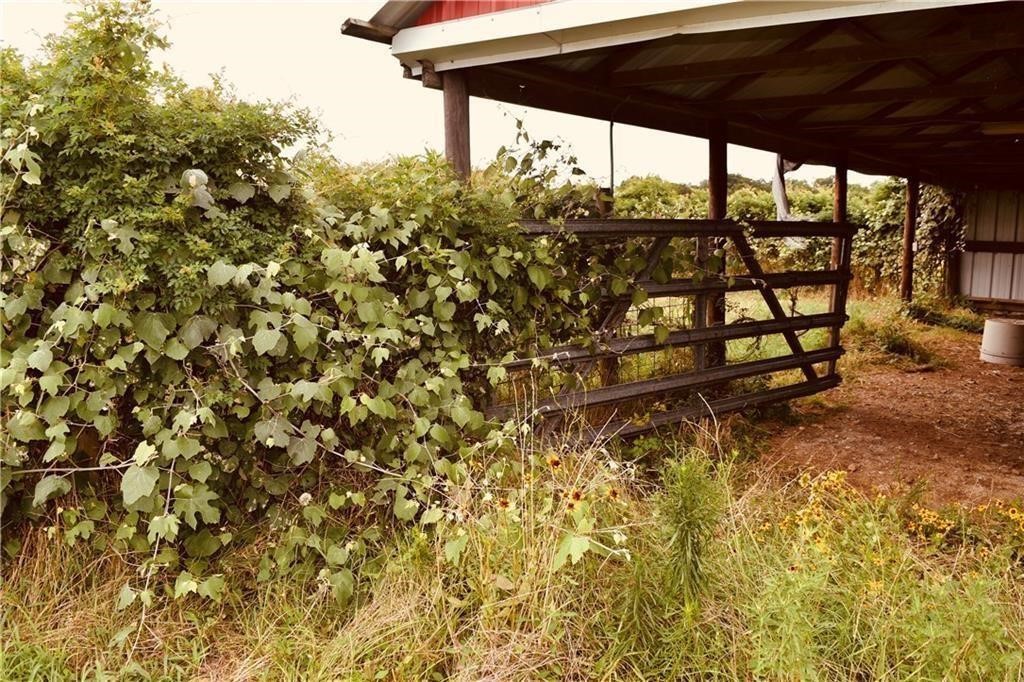 1409 Antioch Road Paige, TX 78659 - Photo 18 of 23