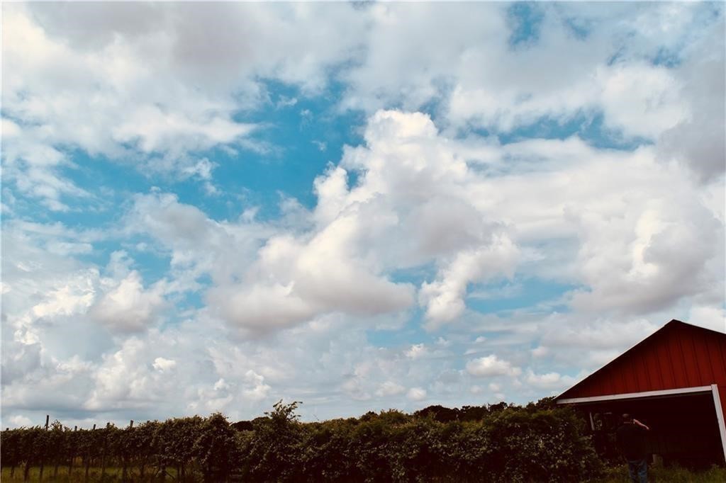 1409 Antioch Road Paige, TX 78659 - Photo 5 of 23