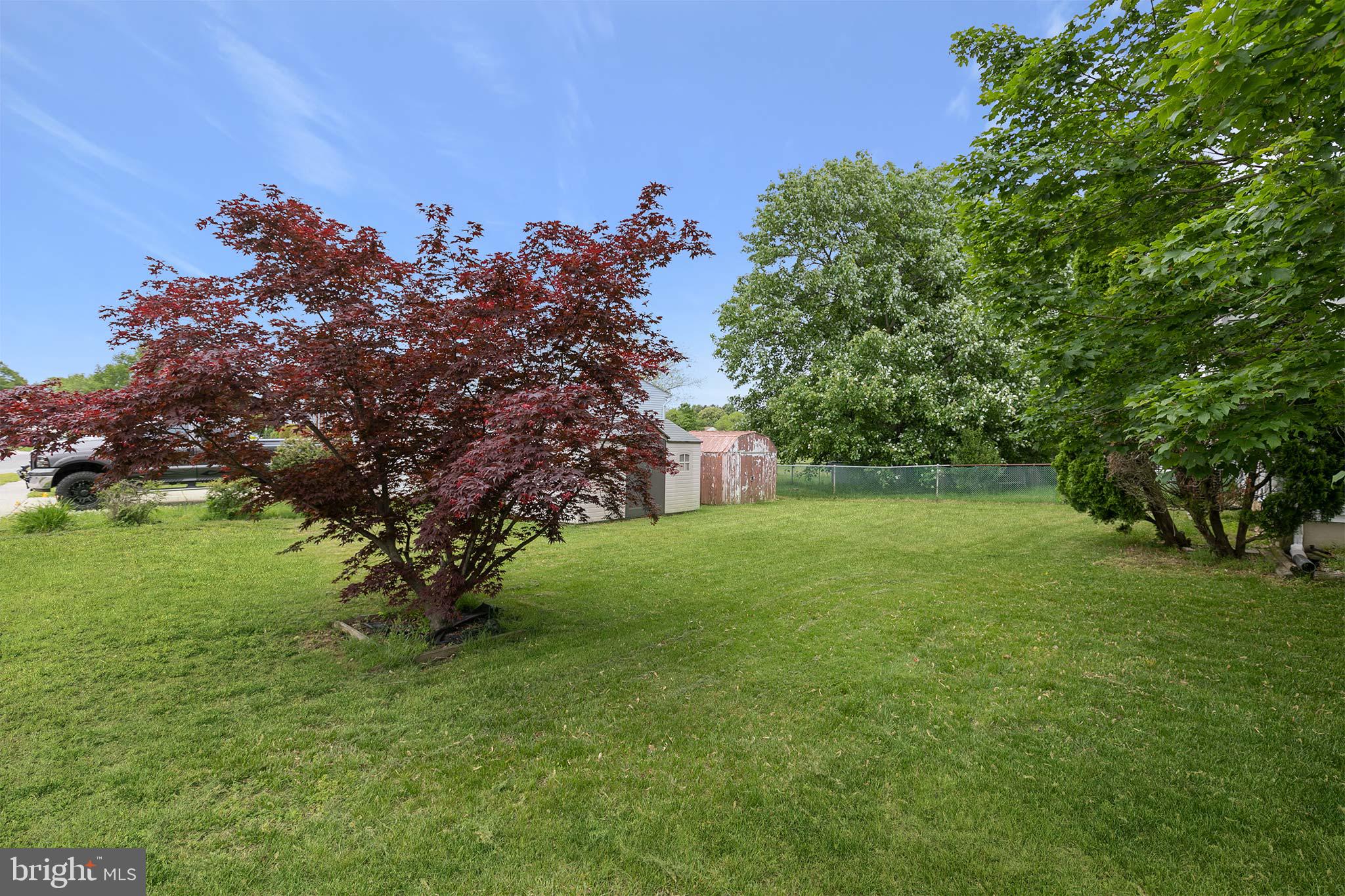 7976 Tick Neck Road Pasadena, MD 21122 - Photo 26 of 28 Backyard
