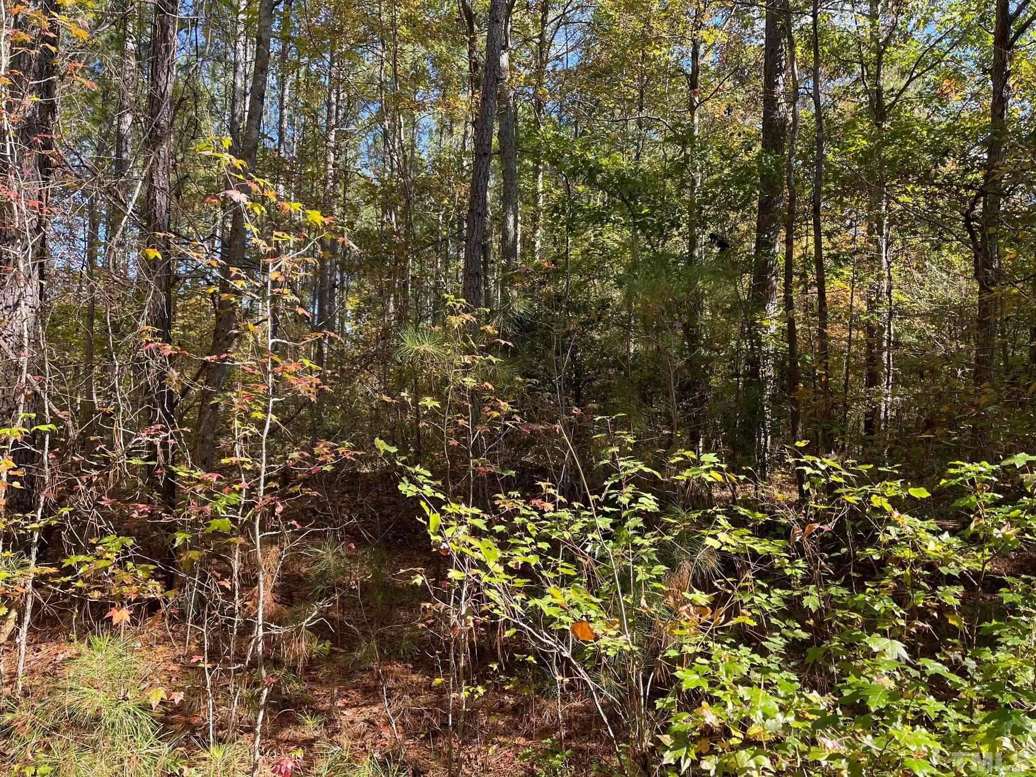 Lot #2 Chicken Bridge Road Pittsboro, NC 27312 - Photo 2 of 5 Gallery Image 2