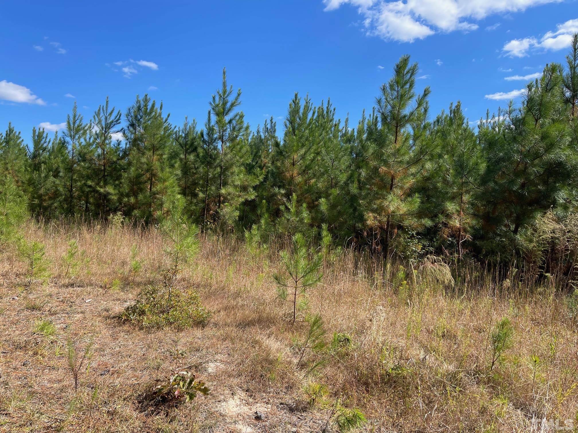 Lot #2 Chicken Bridge Road Pittsboro, NC 27312 - Photo 3 of 5 Gallery Image 3